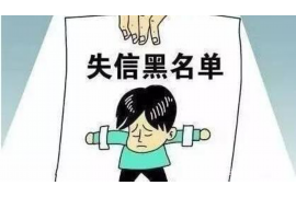 小河小河讨债公司服务